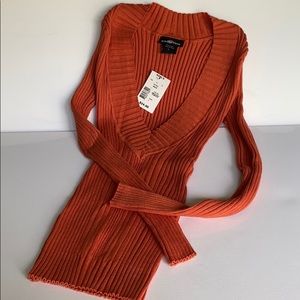 NWT It’s Our Time Stretch Deep V-Neck Sweater